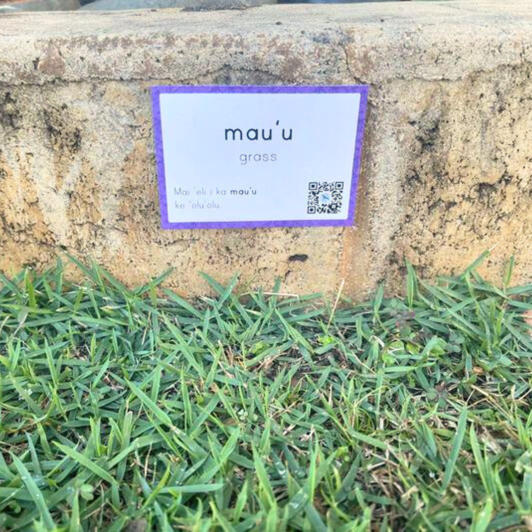 Nā Lepili Hale (Home Labels)