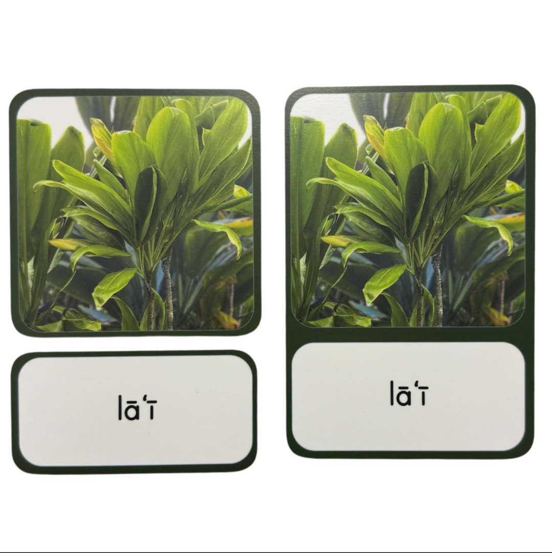 Nā Kāleka Aʻo (Assorted Language Cards)